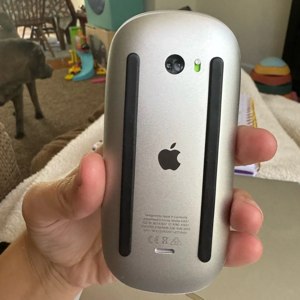 Apple mouse used